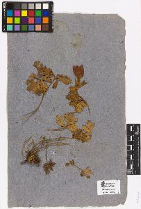 SW_BNB_s3090-10532_IMG-0000000001