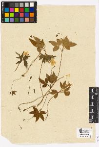 SW_BNB_s3090-10535_IMG-0000000001