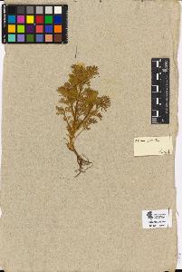 SW_BNB_s3090-10542_IMG-0000000001