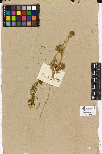 SW_BNB_s3090-10547_IMG-0000000001