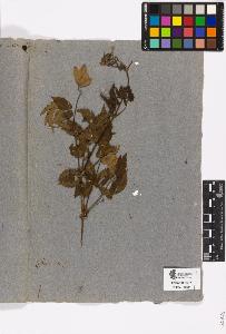 SW_BNB_s3090-10556_IMG-0000000001