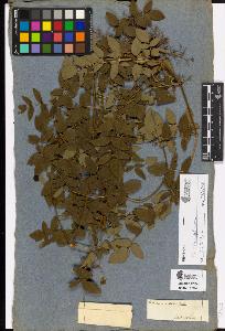 SW_BNB_s3090-10568_IMG-0000000001