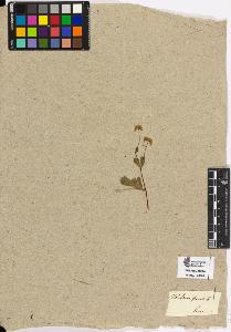 SW_BNB_s3090-10577_IMG-0000000001