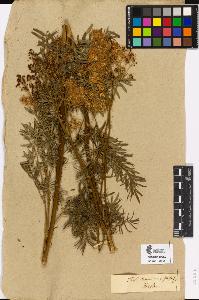 SW_BNB_s3090-10579_IMG-0000000001