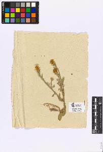 SW_BNB_s3090-10671_IMG-0000000001