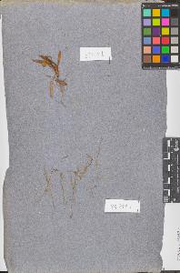 SW_BNB_s3090-10677_IMG-0000000001
