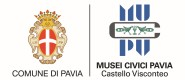 logo Musei Civici del Castello Visconteo