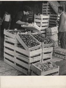 SC_F_SUP-5w050-0000480_IMG-0000795186