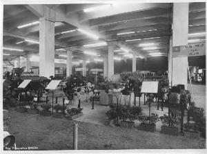 SC_F_SUP-5w060-0001092_IMG-0000891573