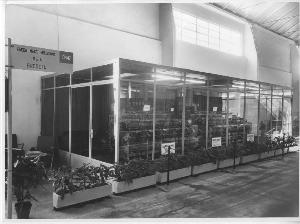 SC_F_SUP-5w060-0001094_IMG-0000891575