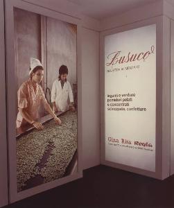 SC_F_SUP-5w060-0001566_IMG-0000891842