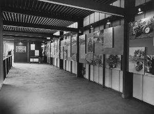 SC_F_SUP-5w060-0001642_IMG-0000891891