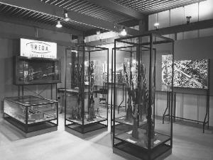 SC_F_SUP-5w060-0001689_IMG-0000891925