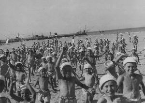 SC_F_SUP-5w060-0002187_IMG-0000892221