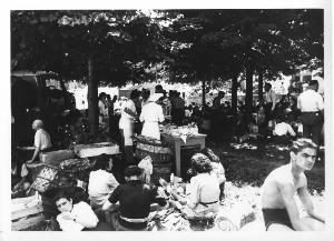 SC_F_SUP-5w060-0002319_IMG-0000892321