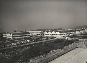 SC_F_SUP-5w060-0002422_IMG-0000892399