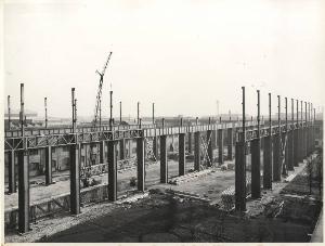 SC_F_SUP-5w060-0002748_IMG-0000892619