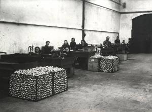 SC_F_SUP-5w060-0003258_IMG-0000892964