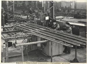 SC_F_SUP-5w060-0003288_IMG-0000892984