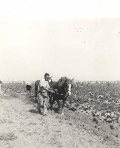 SC_F_SUP-5w060-0003587_IMG-0000893088