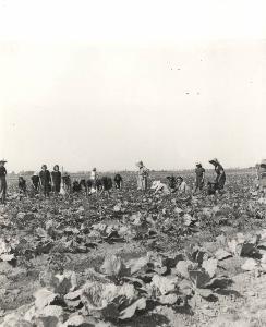 SC_F_SUP-5w060-0003588_IMG-0000893089