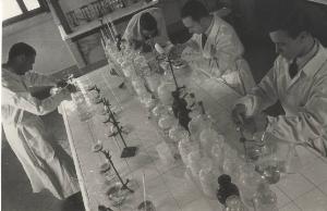 SC_F_SUP-5w060-0003773_IMG-0000893174