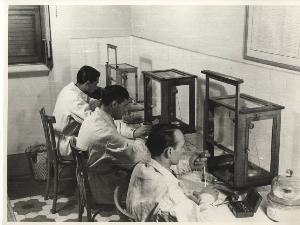 SC_F_SUP-5w060-0003775_IMG-0000893175