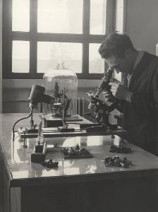 SC_F_SUP-5w060-0003834_IMG-0000893208