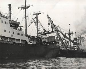 SC_F_SUP-5w060-0004856_IMG-0000893753