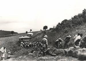 SC_F_SUP-5w060-0005219_IMG-0000893945