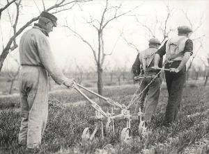 SC_F_SUP-5w060-0005594_IMG-0000894119