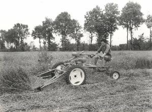 SC_F_SUP-5w060-0005617_IMG-0000894128