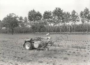 SC_F_SUP-5w060-0005621_IMG-0000894130