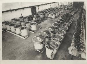 SC_F_SUP-5w060-0005867_IMG-0000894231