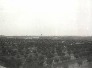 SC_F_SUP-5w060-0006045_IMG-0000894350