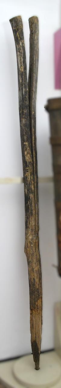 SW_BDM_SWFL1-00052_IMG-0000000001