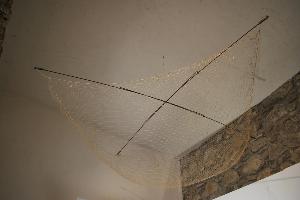 SW_BDM_SWFL1-00004_IMG-0000000001