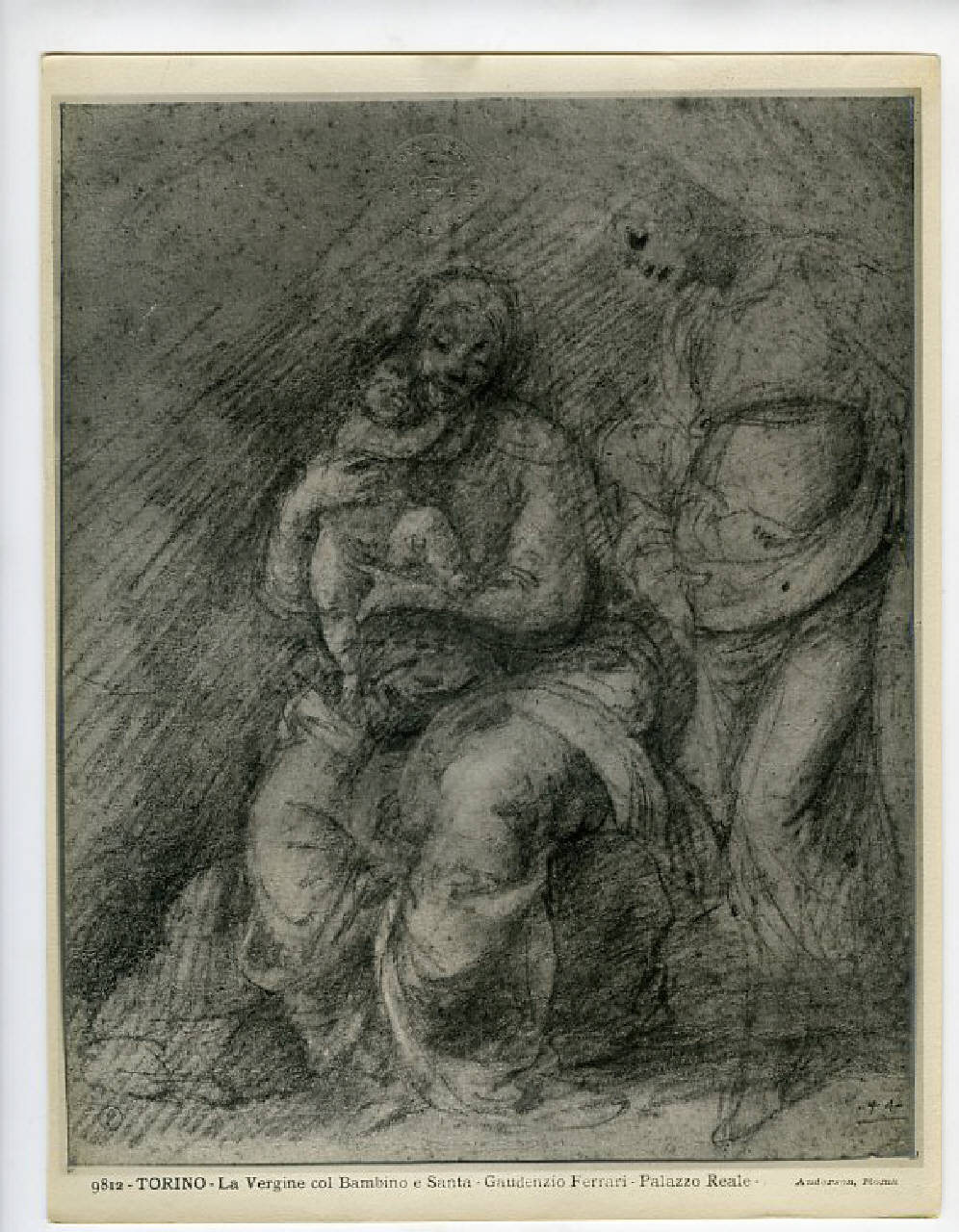 SC_F_SUP-4t060-0005158_IMG-0000955360