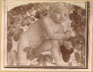 SC_F_SUP-4t060-0000074_IMG-0000950668