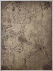 SC_F_SUP-4t060-0000084_IMG-0000950678