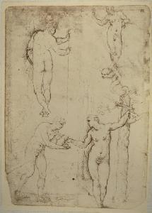 SC_F_SUP-4t060-0000807_IMG-0000951396