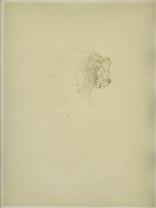 SC_F_SUP-4t060-0002800_IMG-0000953371