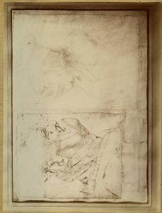 SC_F_SUP-4t060-0004256_IMG-0000954649