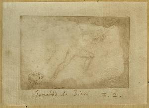 SC_F_SUP-4t060-0004272_IMG-0000954662
