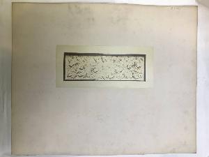 SC_F_SUP-4t060-0004599_IMG-0000954900