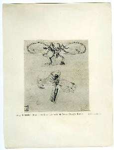 SC_F_SUP-4t060-0005180_IMG-0000955382