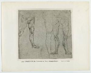 SC_F_SUP-4t060-0005187_IMG-0000955389