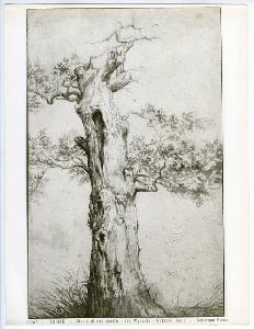 SC_F_SUP-4t060-0005231_IMG-0000955432