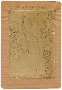 SW_F_SUP-4t060-0000557_IMG-0000000001