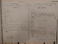 SW_D_4t060-03841_IMG-0000000001